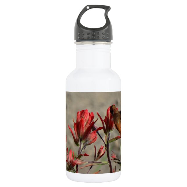 Hummingbird cardinal flowers 532 ml water bottle (Front)