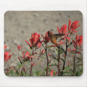 Hummingbird cardinal flowers mouse mat