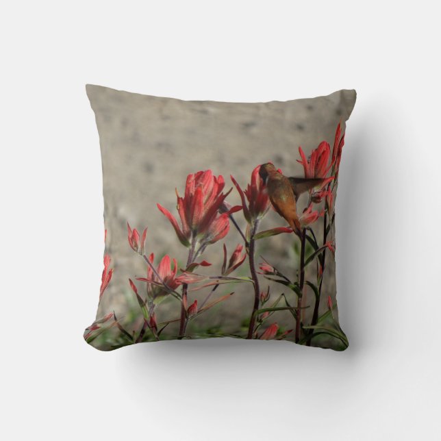 hummingbird cardinal flw. cushion (Front)