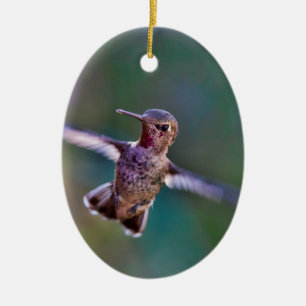 Hummingbird Ceramic Tree Decoration