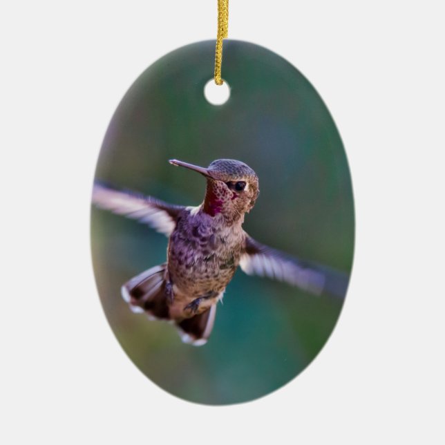 Hummingbird Ceramic Tree Decoration (Front)