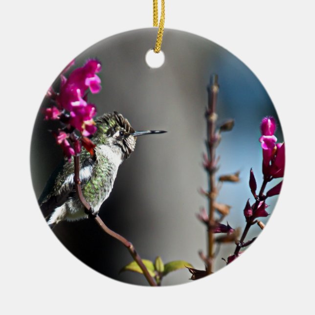 Hummingbird Ceramic Tree Decoration (Front)