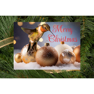 Hummingbird Christmas Card