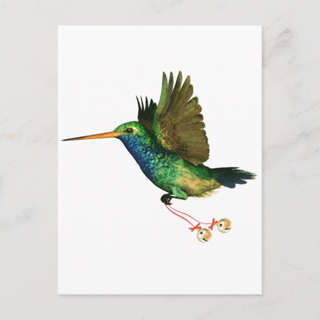 Hummingbird Christmas Holiday Postcard (Front)