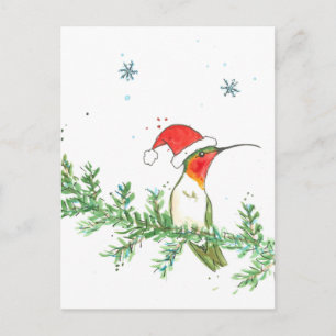 Hummingbird Christmas Holiday Postcard