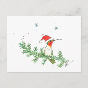 Hummingbird Christmas Holiday Postcard