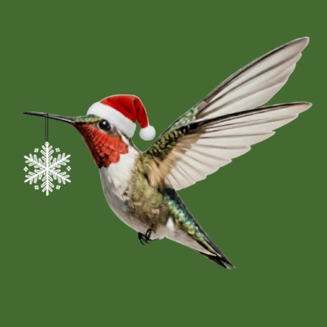 Hummingbird Christmas Ornament snowflake hanging Photo Sculpture Decoration (hummingbird christmas ornament cute bird holding white snowflake decoration wearing a red santa hat)