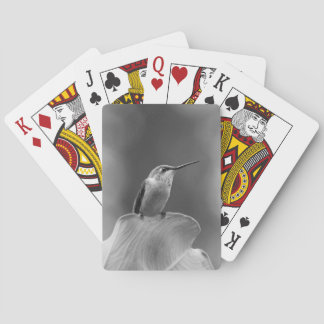 Hummingbird Classic Cards