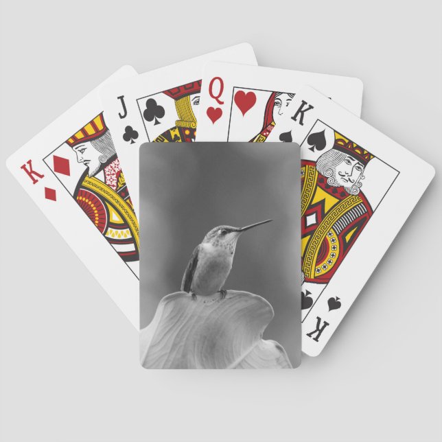 Hummingbird Classic Cards (Back)