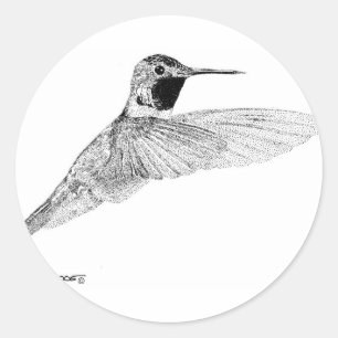 Hummingbird Classic Round Sticker