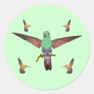 Hummingbird Classic Round Sticker