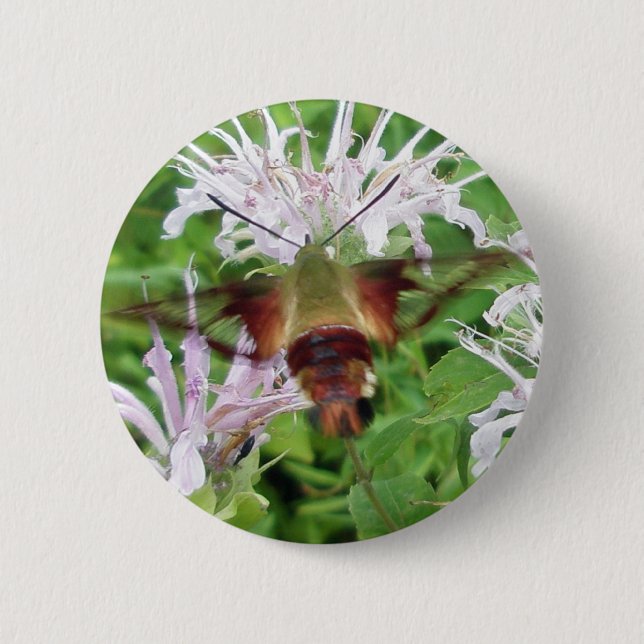 Hummingbird Clear Wing Moth Coordinating Items 6 Cm Round Badge (Front)