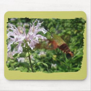 Hummingbird Clear Wing Moth Coordinating Items Mouse Mat