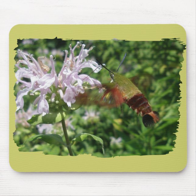 Hummingbird Clear Wing Moth Coordinating Items Mouse Mat (Front)