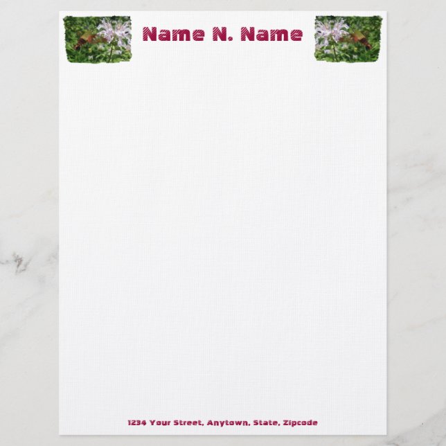 Hummingbird Clear Wing Moth Letterhead (Front)
