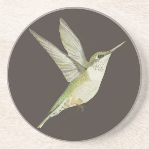 Hummingbird Coaster