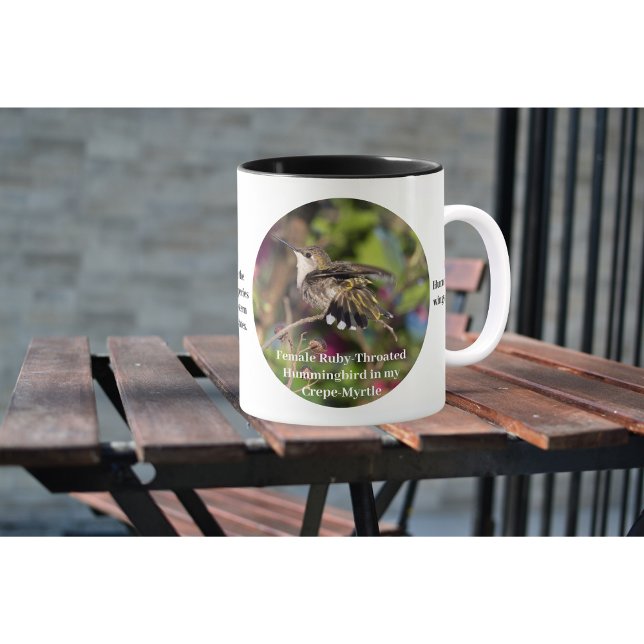 Hummingbird Coffee Cup  (Creator Uploaded)