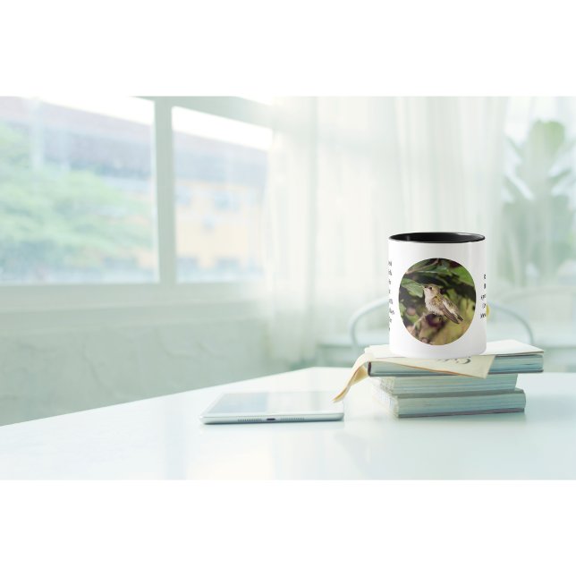 Hummingbird Coffee Cup (It's a beautiful day why not enjoy your coffee in one of our fun facts hummingbird cups ?)