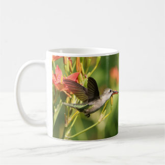 Hummingbird Coffee Mug II by BirdingCollectibles