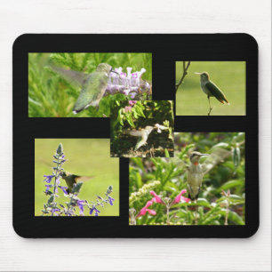 Hummingbird Collage Mouse Mat