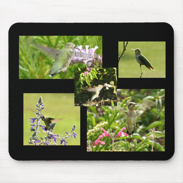 Hummingbird Collage Mouse Mat (Front)