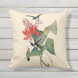 Hummingbird Coral Bean Outdoor Throw Pillow 16X16