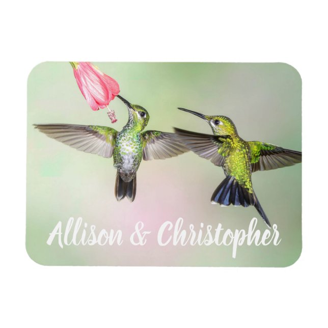 Hummingbird Couple Flying Together Personalised Magnet (Horizontal)
