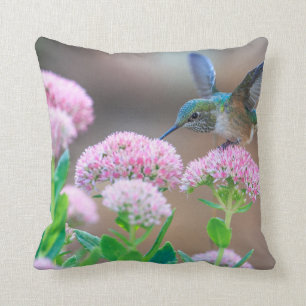 Hummingbird Cushion