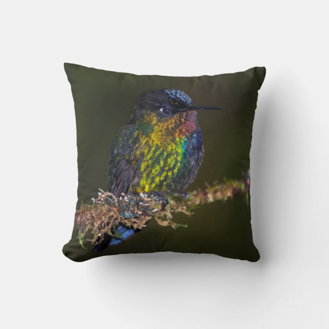 Hummingbird Cushion (Front)