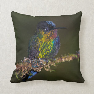Hummingbird Cushion