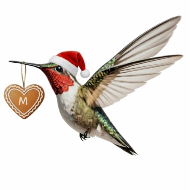 Hummingbird Custom Monogram Christmas Ornament Photo Sculpture Decoration (Front)