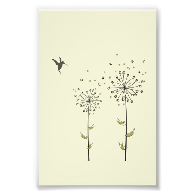 Hummingbird & Dandelion Photo Print (Front)