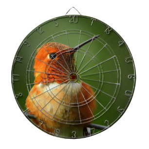 Hummingbird Dartboard