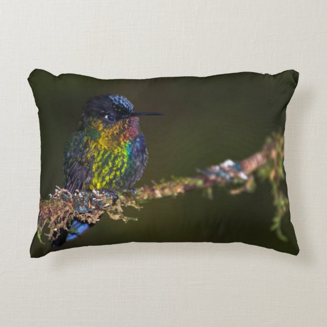 Hummingbird Decorative Cushion (Front)