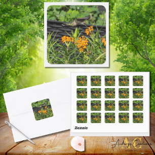Hummingbird Design #4Q7A8746 Square Sticker