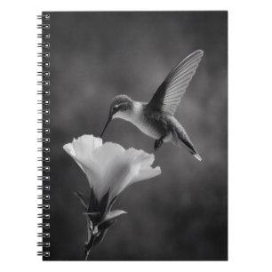 Hummingbird Drinking Flower Notebook