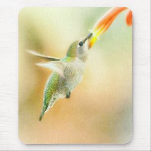 Hummingbird early morning flight mouse mat