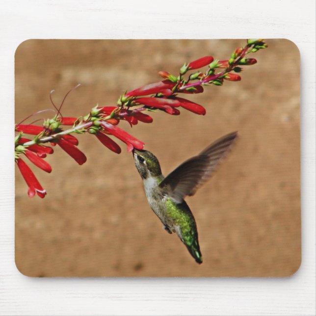 Hummingbird Feeding at the Garden Mouse Mat (Front)