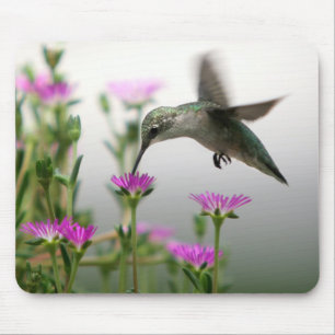 Hummingbird Feeding Mouse Mat