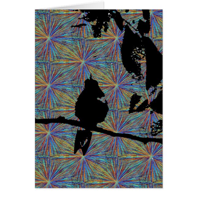 Hummingbird Fireworks (Front)