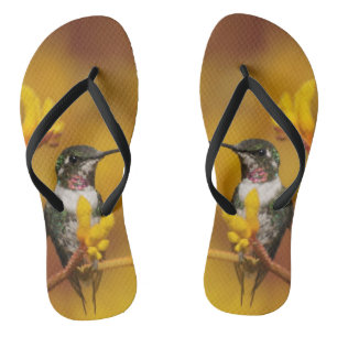 Hummingbird Flip Flops