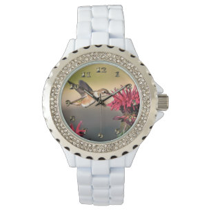 Hummingbird Flower Feeding Watch