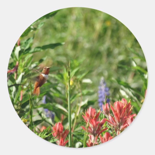 Hummingbird Flowers Classic Round Sticker (Front)