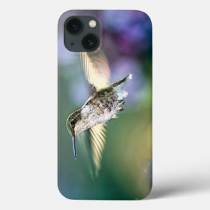 Hummingbird Flying iPhone 13 Case