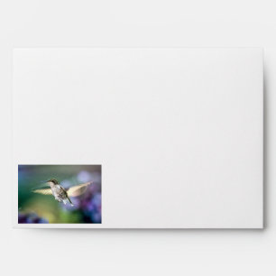 Hummingbird Flying Envelope