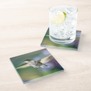 Hummingbird Flying Glass Coaster