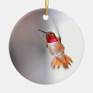 Hummingbird Flying Photo Ceramic Tree Decoration