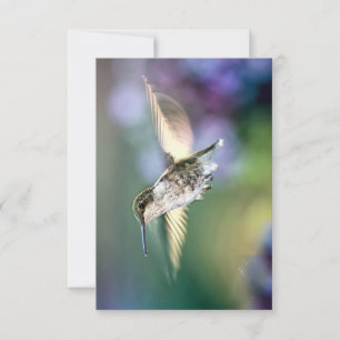 Hummingbird Flying Thank You Card