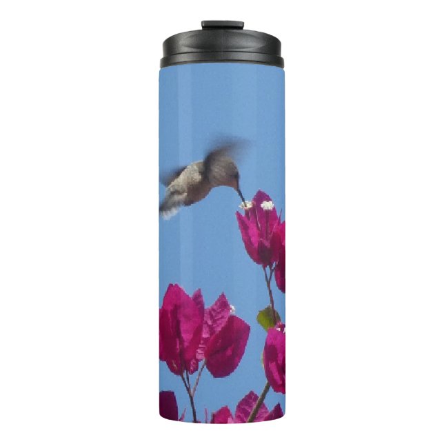 Hummingbird from Peru Tumbler (Front)