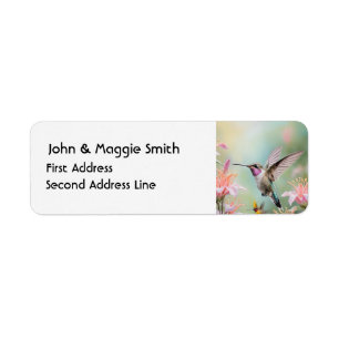 Hummingbird Garden Bird Wildlife Art